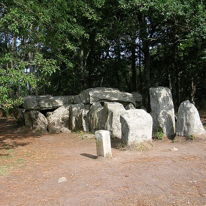Photo de Dolmen à galerie avec la base du tumulus