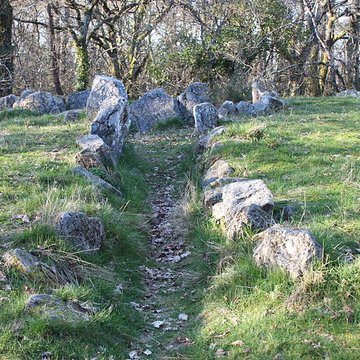 Dolmen à galerie avec la base du tumulus