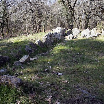 Dolmen à galerie avec la base du tumulus