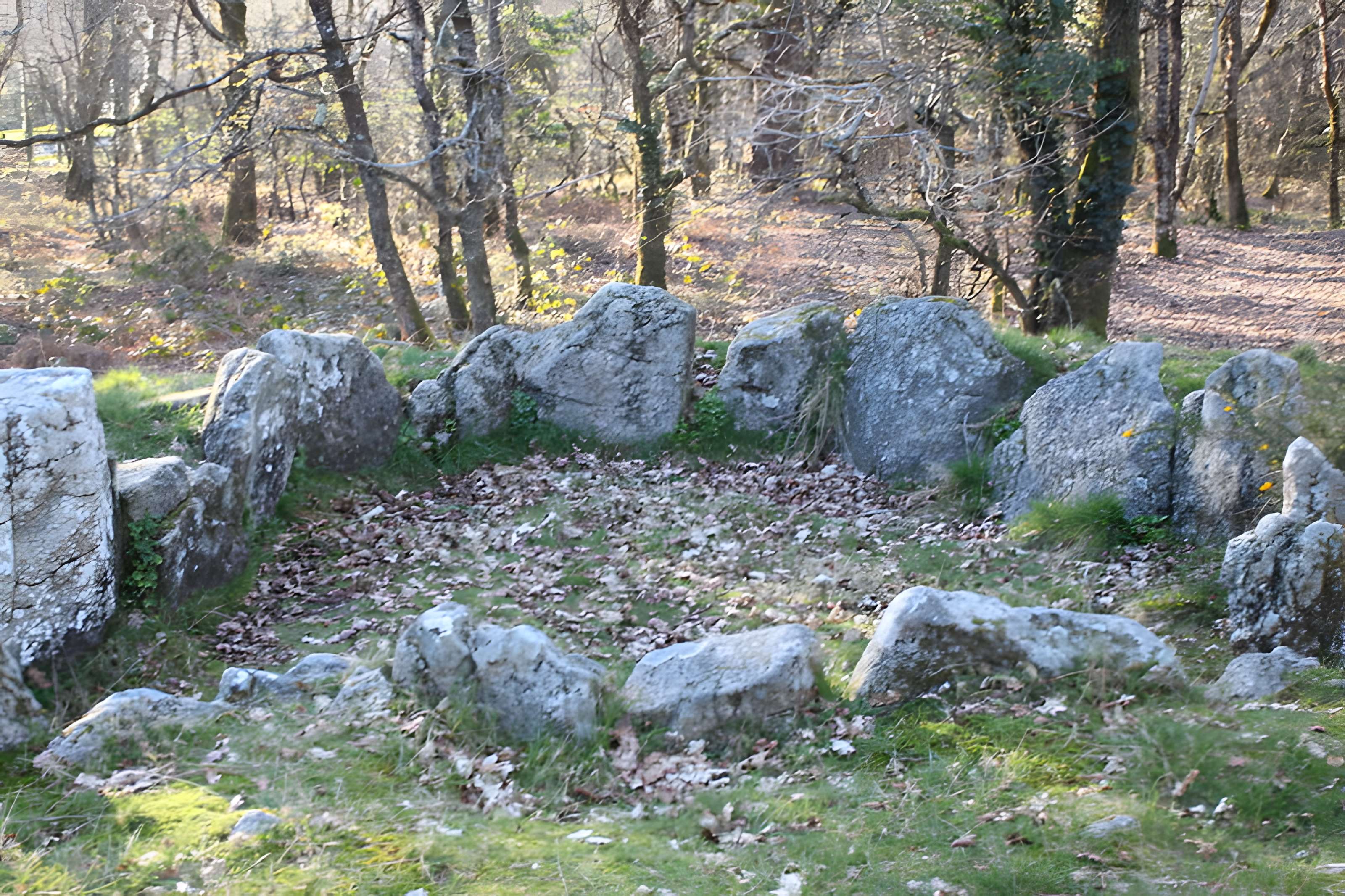 Dolmen à galerie avec la base du tumulus