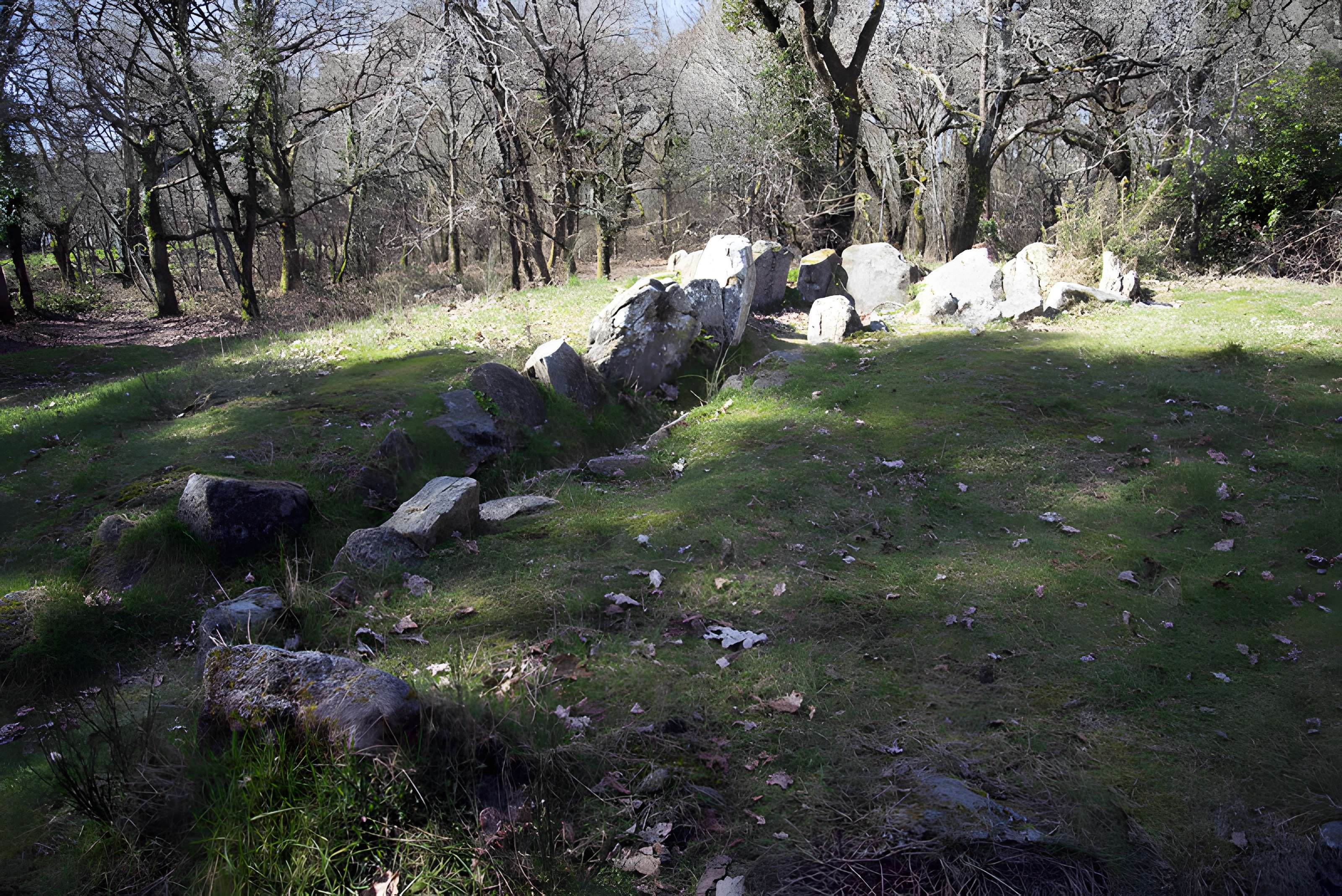 Dolmen à galerie avec la base du tumulus