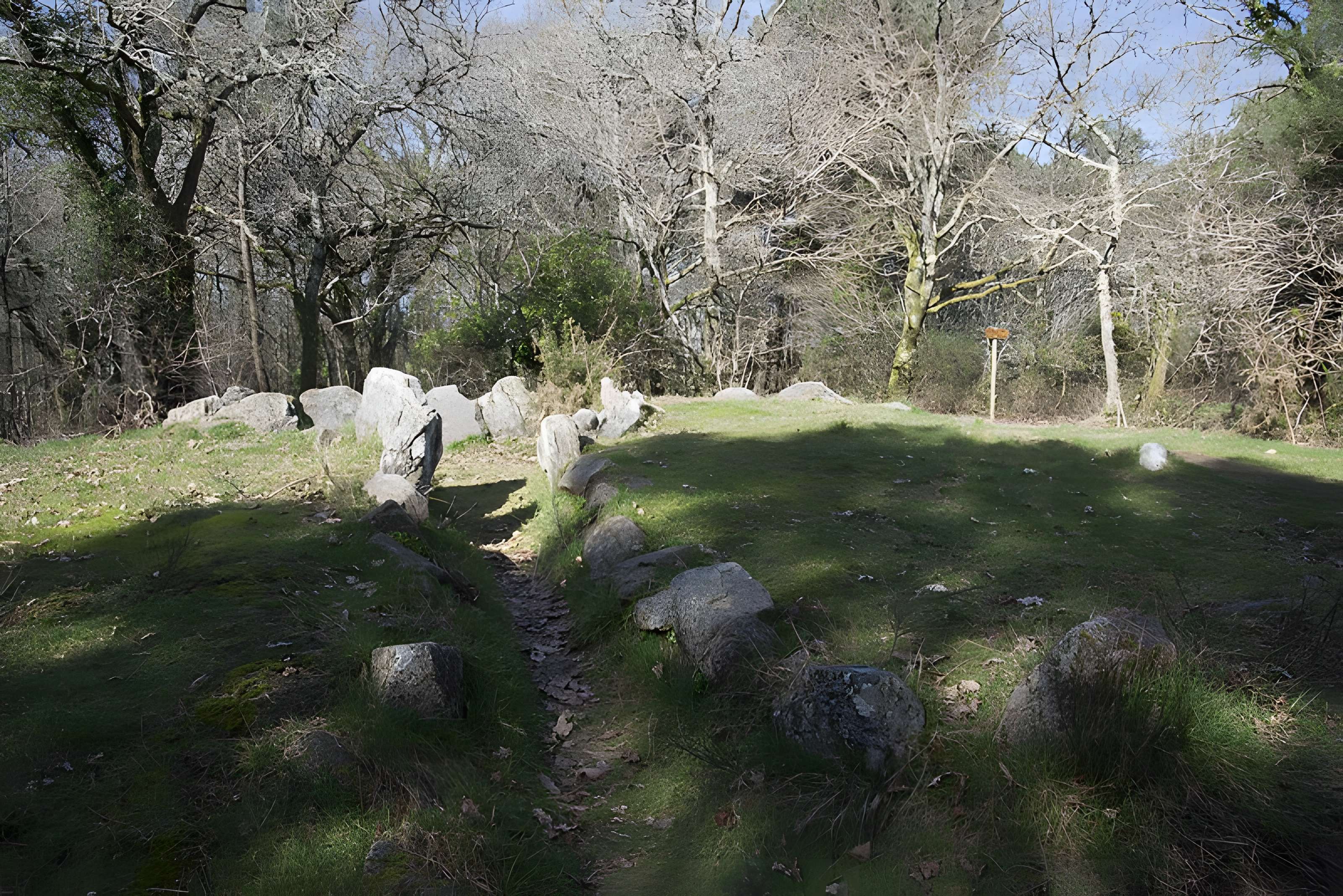 Dolmen à galerie avec la base du tumulus