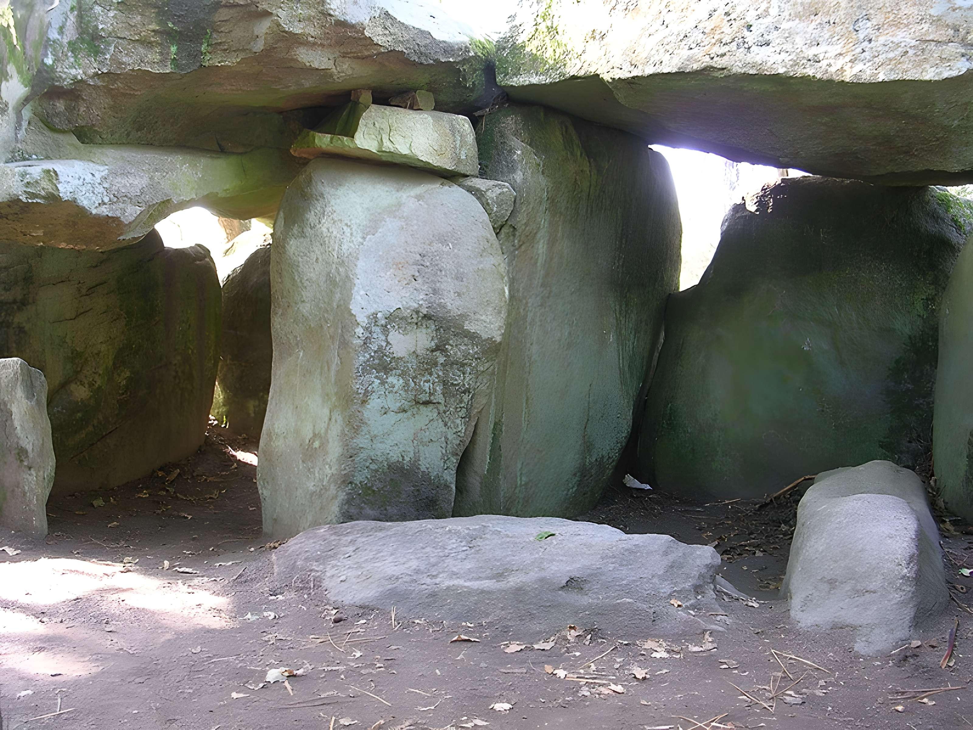 Dolmen à galerie avec la base du tumulus