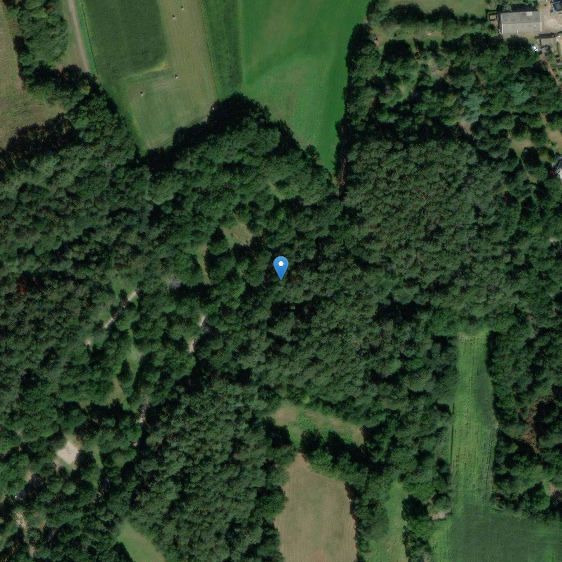 Photo de Estela grabada por Guib