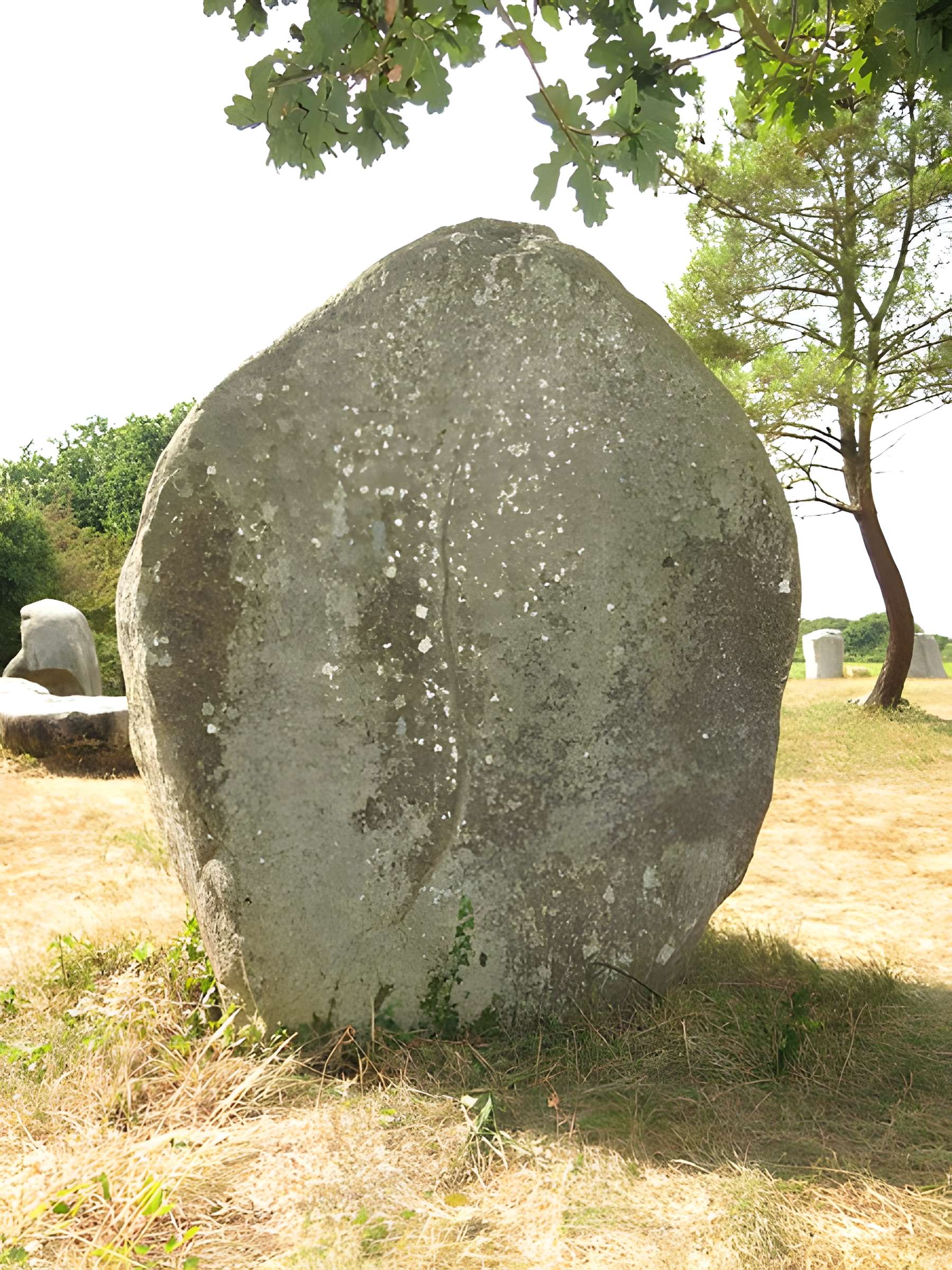 Quadrilatère de Crucuno