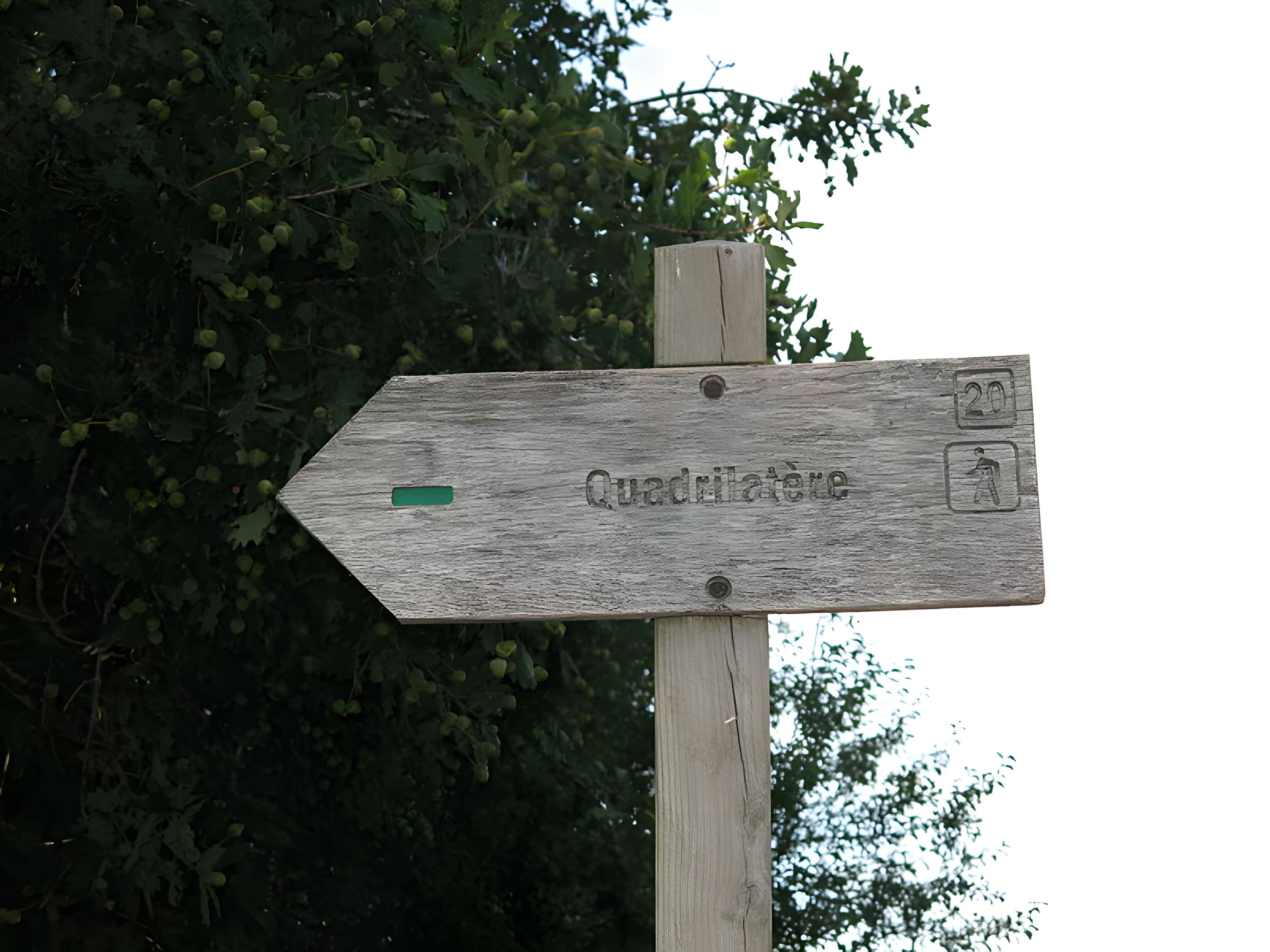 Quadrilatère de Crucuno