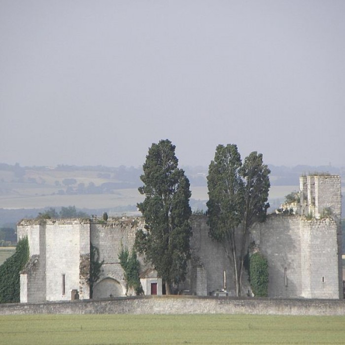 Photo de Église Saint-Pierre de Cazaux