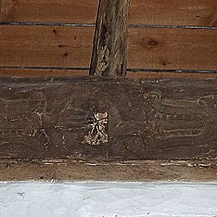 Photo de Chapelle de la Trinité