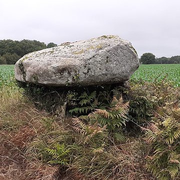 Dolmen de Kermabon