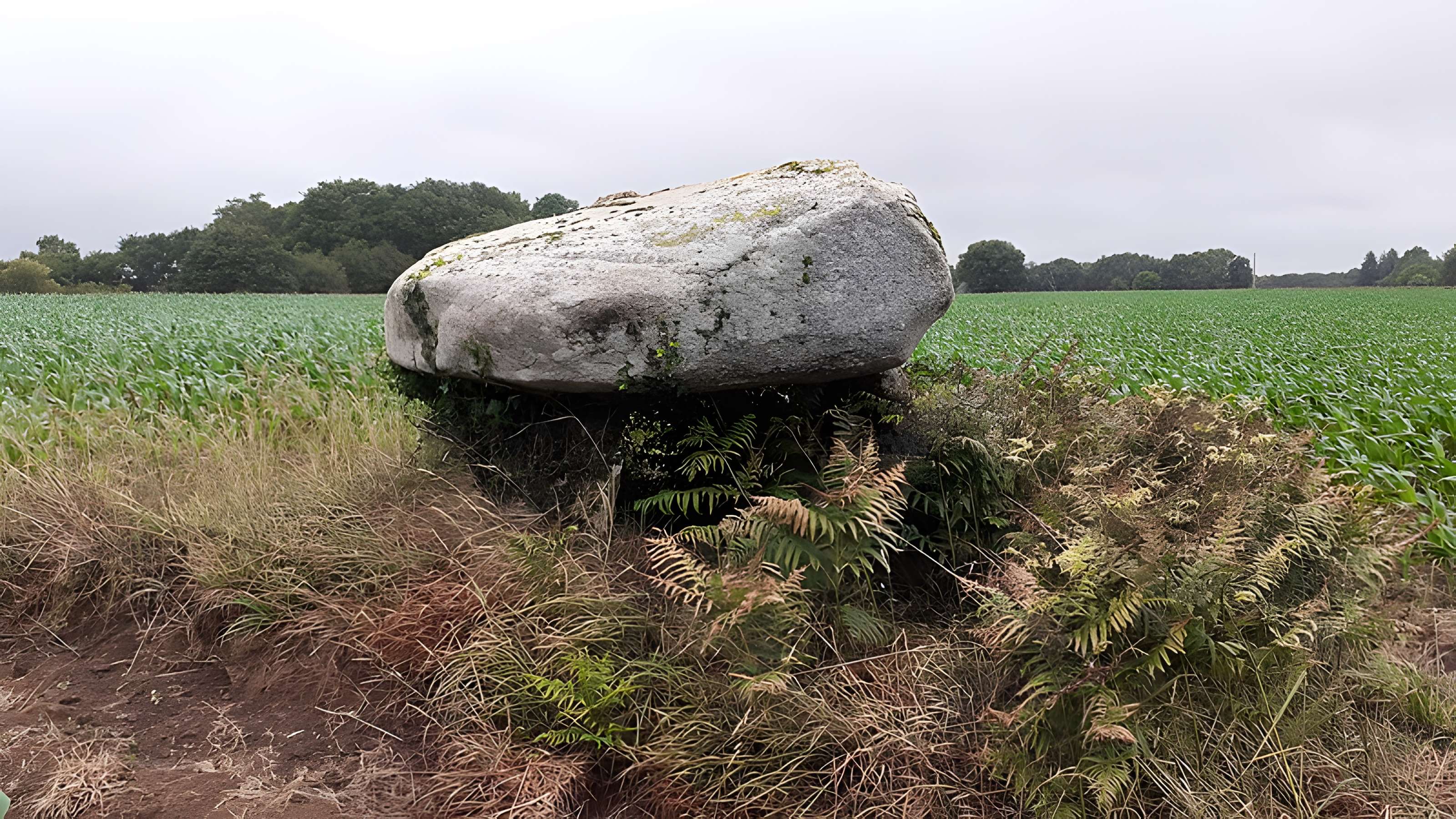 Dolmen de Kermabon