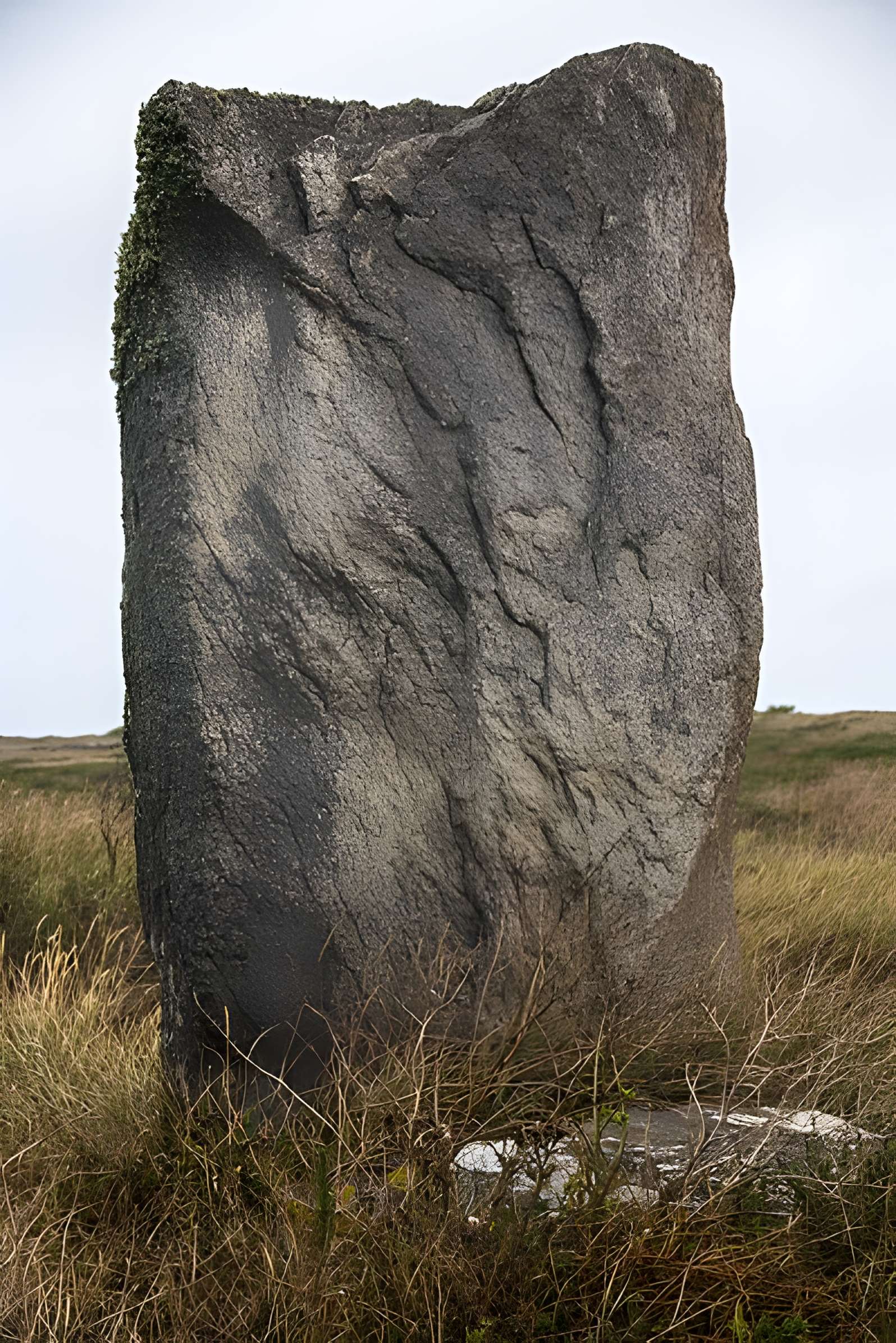 Deux menhirs couchés