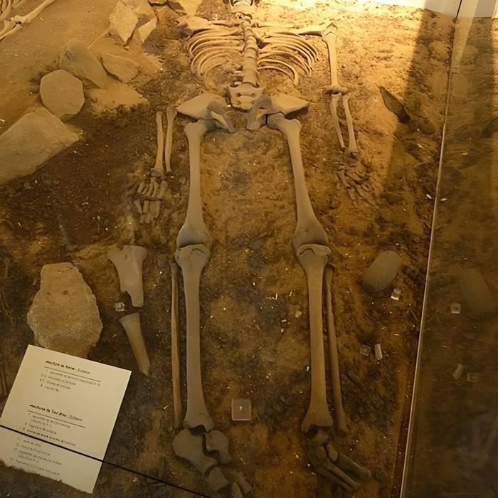 Photo de Ilot de Toul-Bras