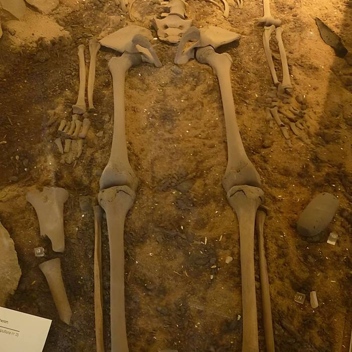 Photo de Ilot de Toul-Bras