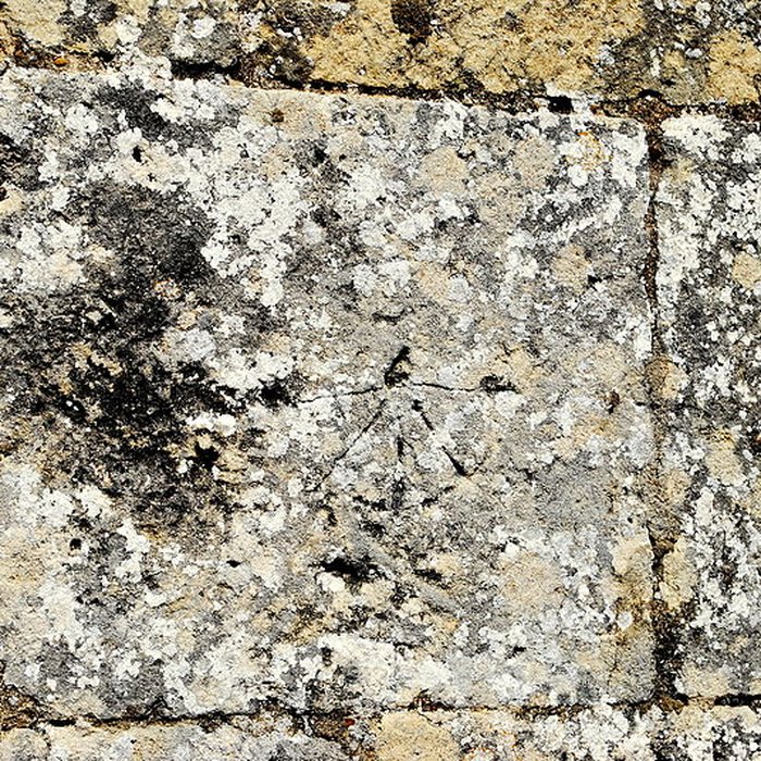 Photo de Église Saint-Pierre de Champagnolles