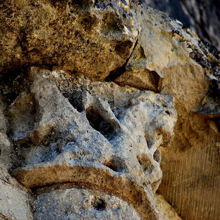 Photo de Église Saint-Pierre de Champagnolles