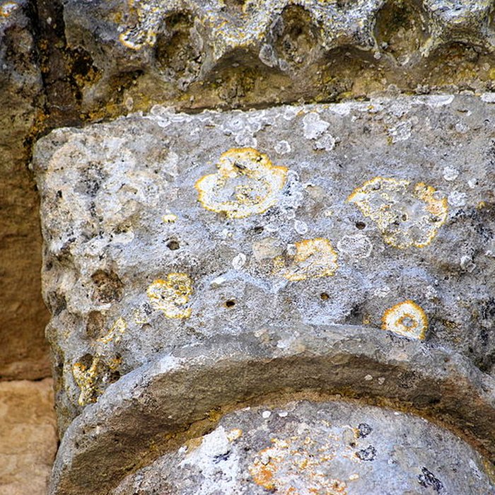 Photo de Église Saint-Pierre de Champagnolles