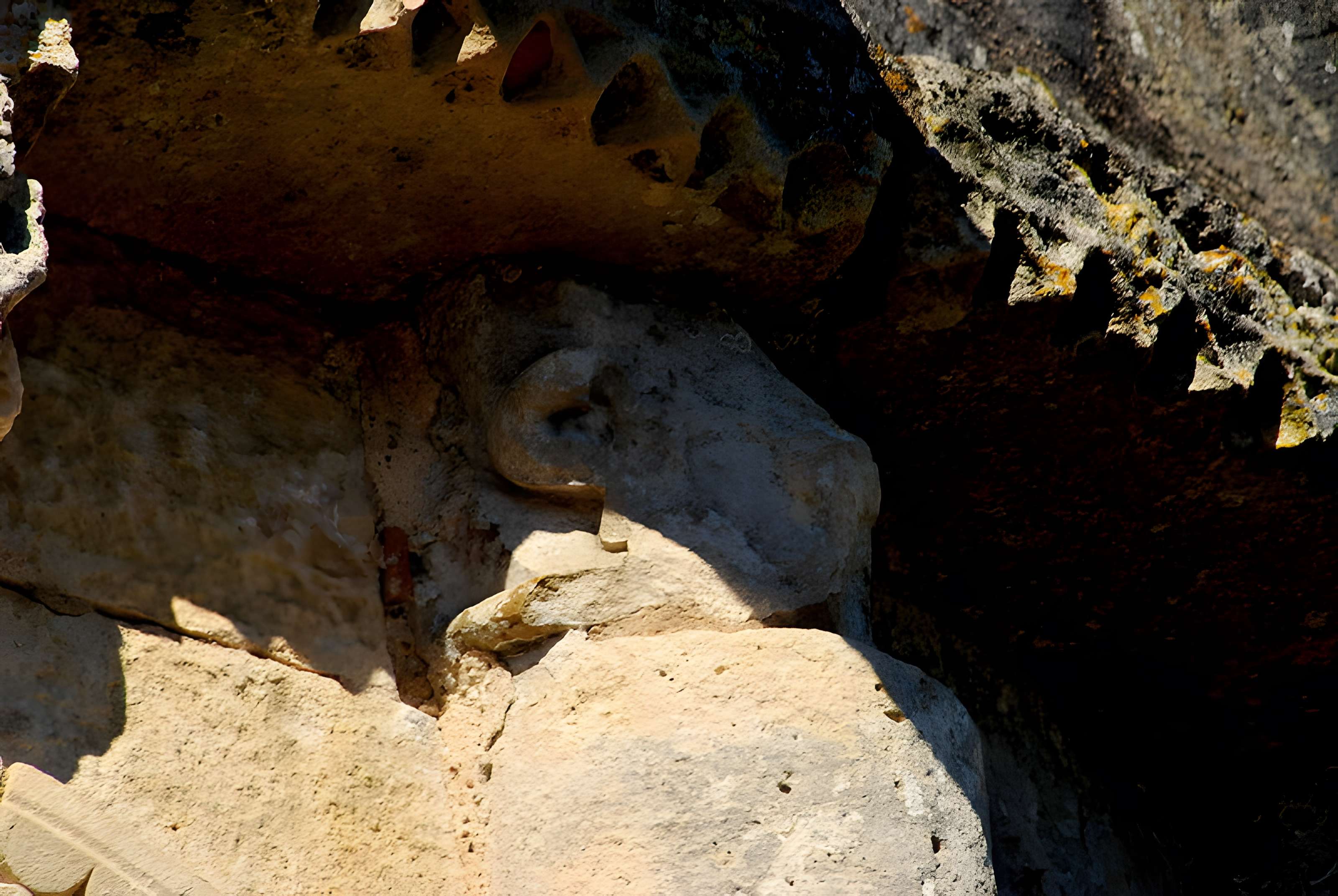 Église Saint-Pierre de Champagnolles