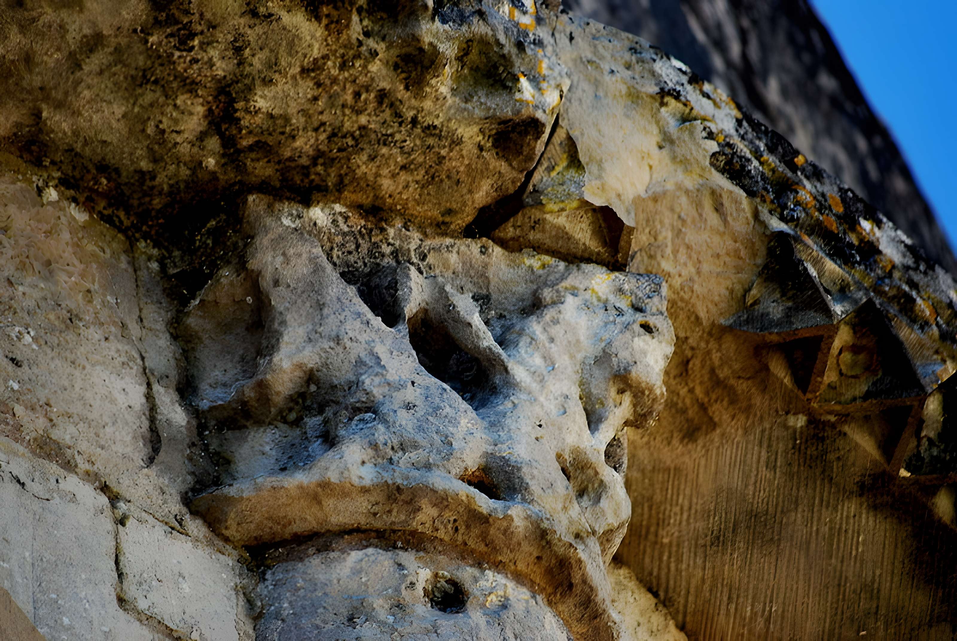 Église Saint-Pierre de Champagnolles