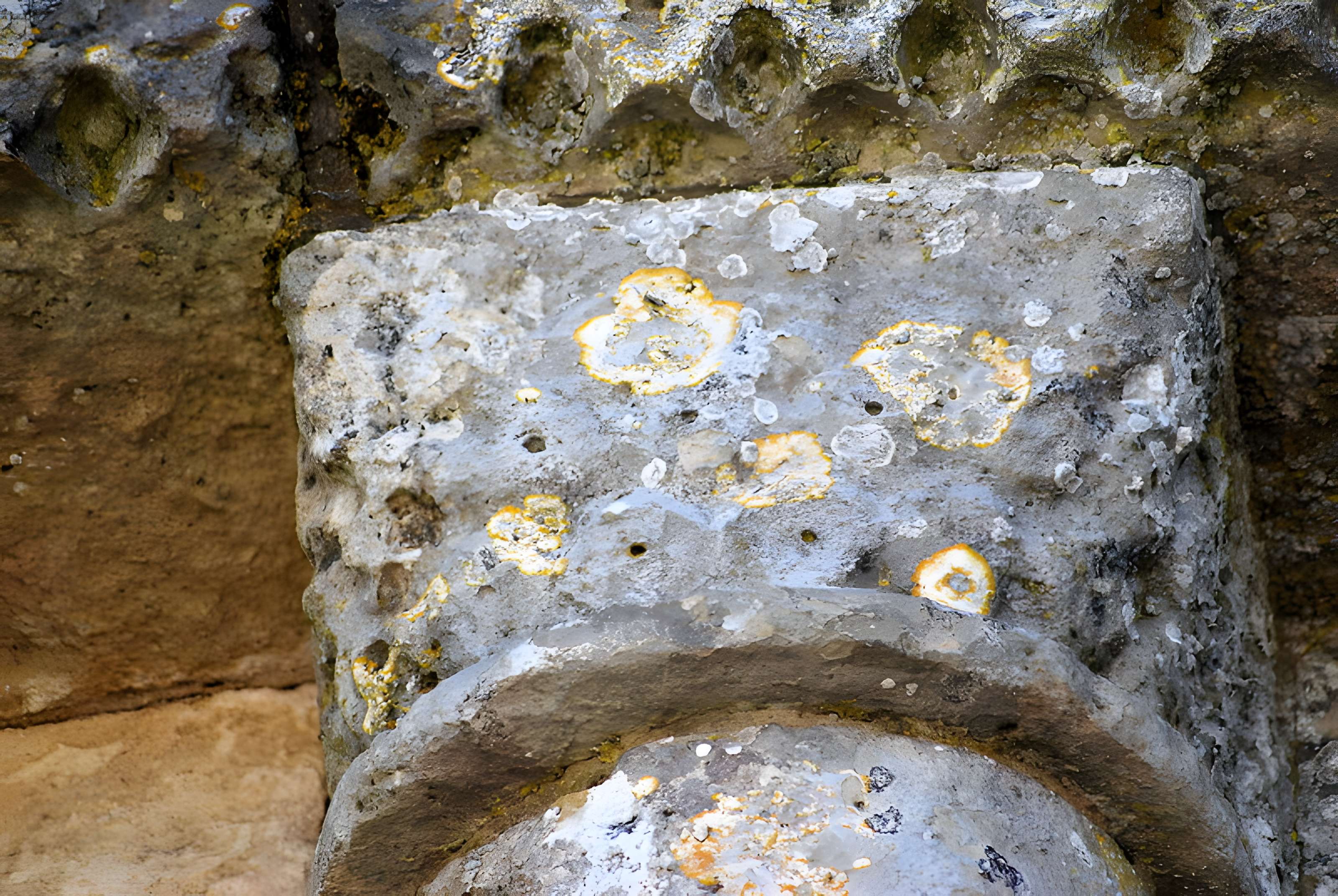 Église Saint-Pierre de Champagnolles