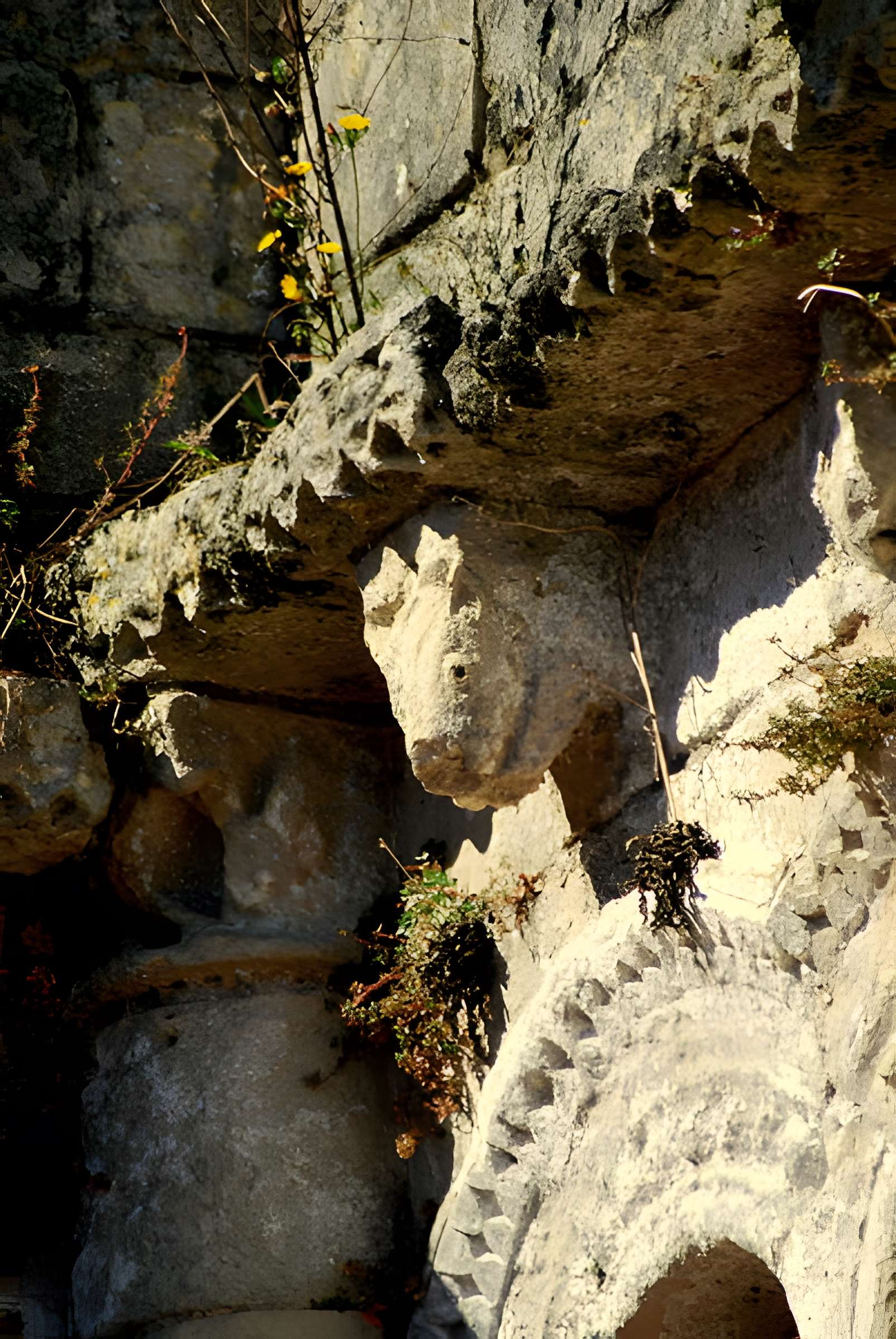 Église Saint-Pierre de Champagnolles