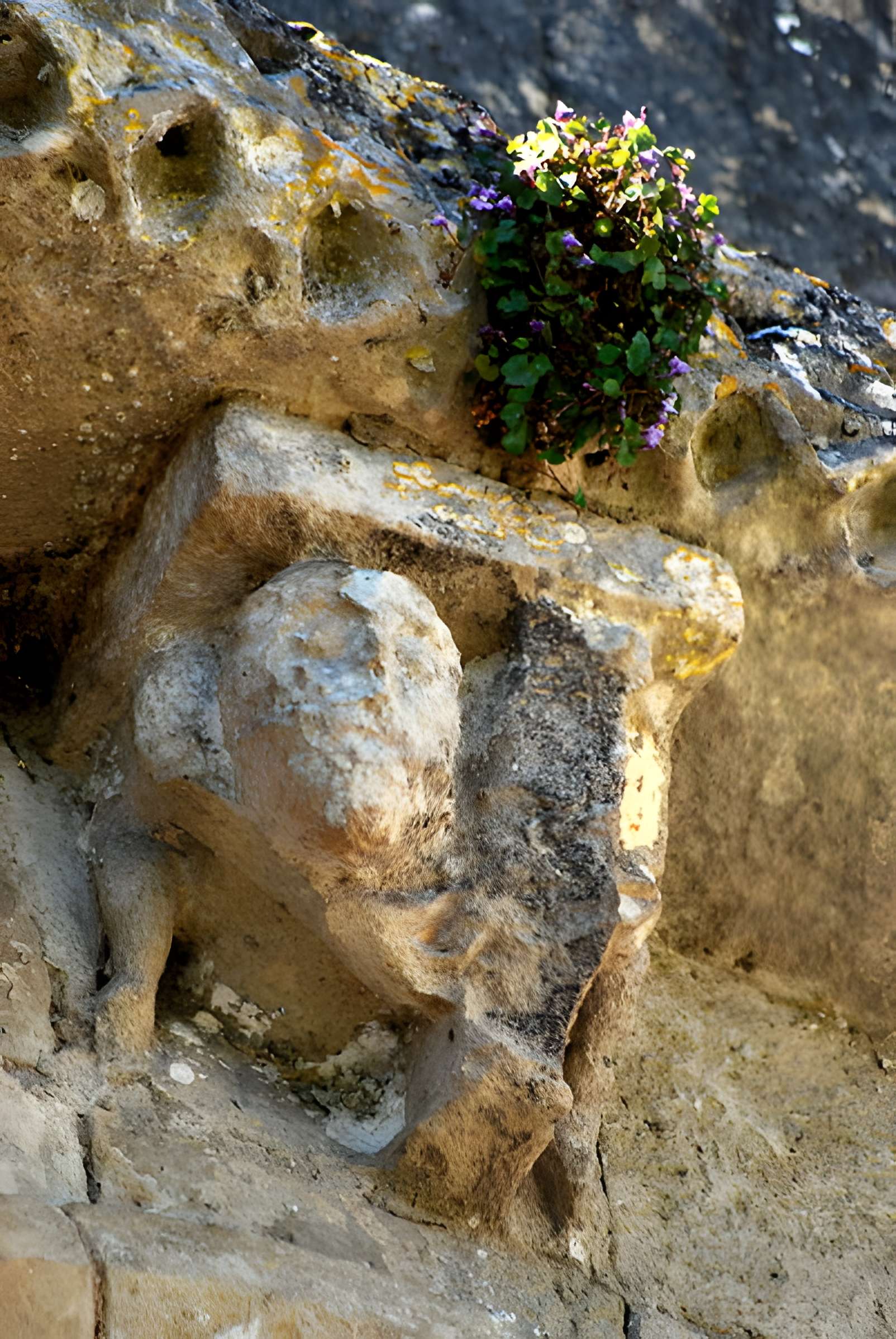 Église Saint-Pierre de Champagnolles