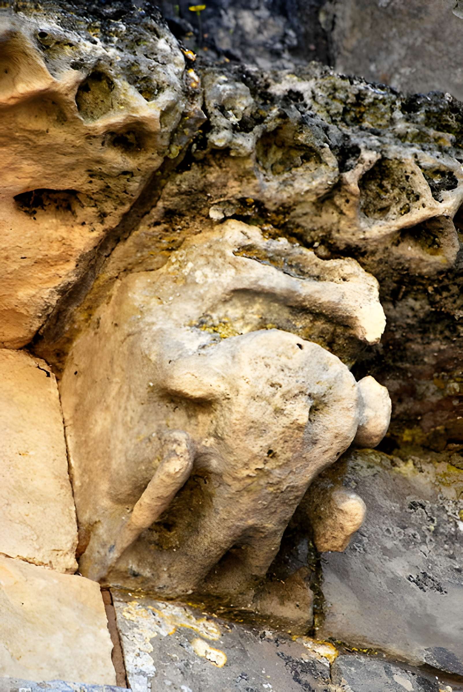 Église Saint-Pierre de Champagnolles