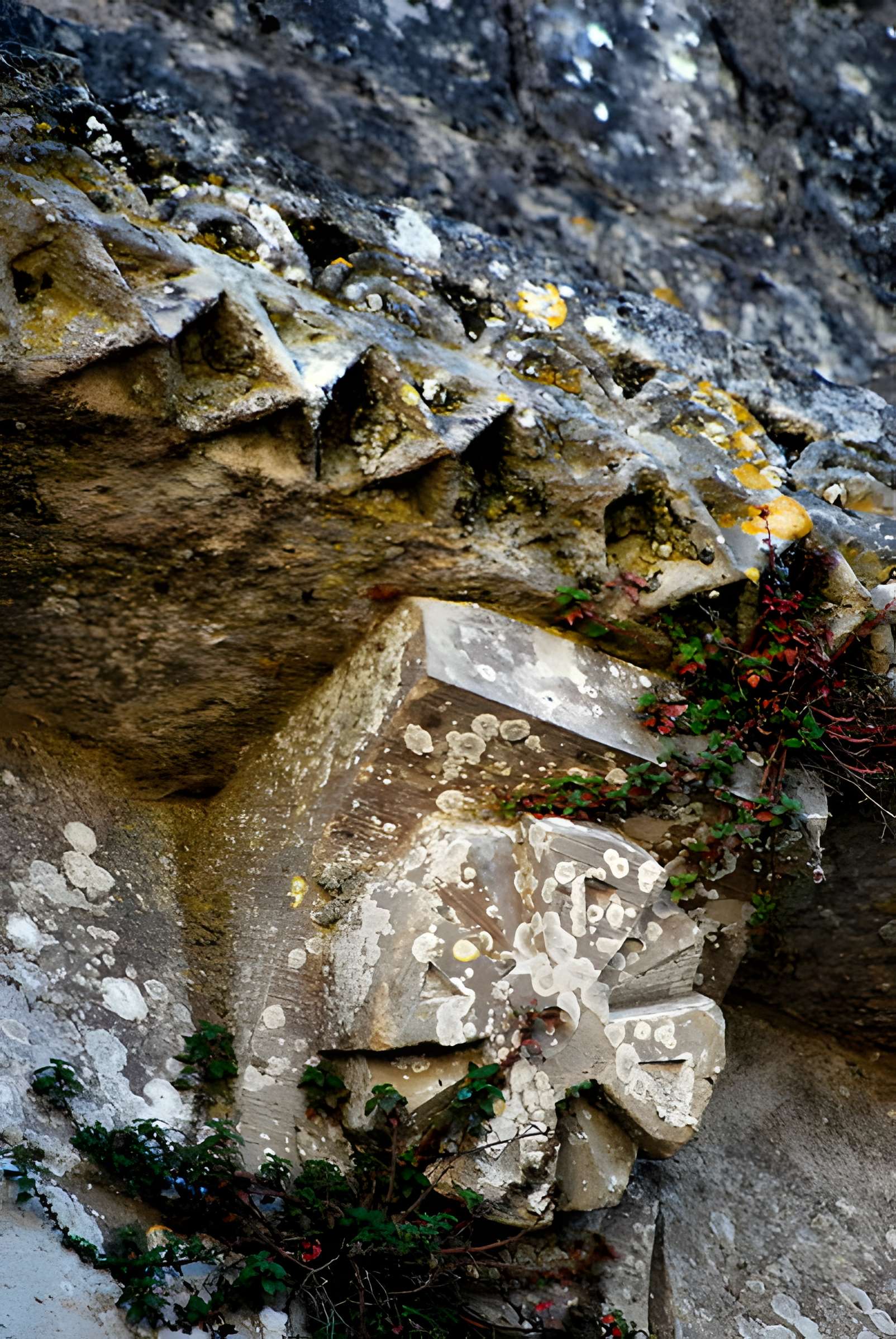 Église Saint-Pierre de Champagnolles