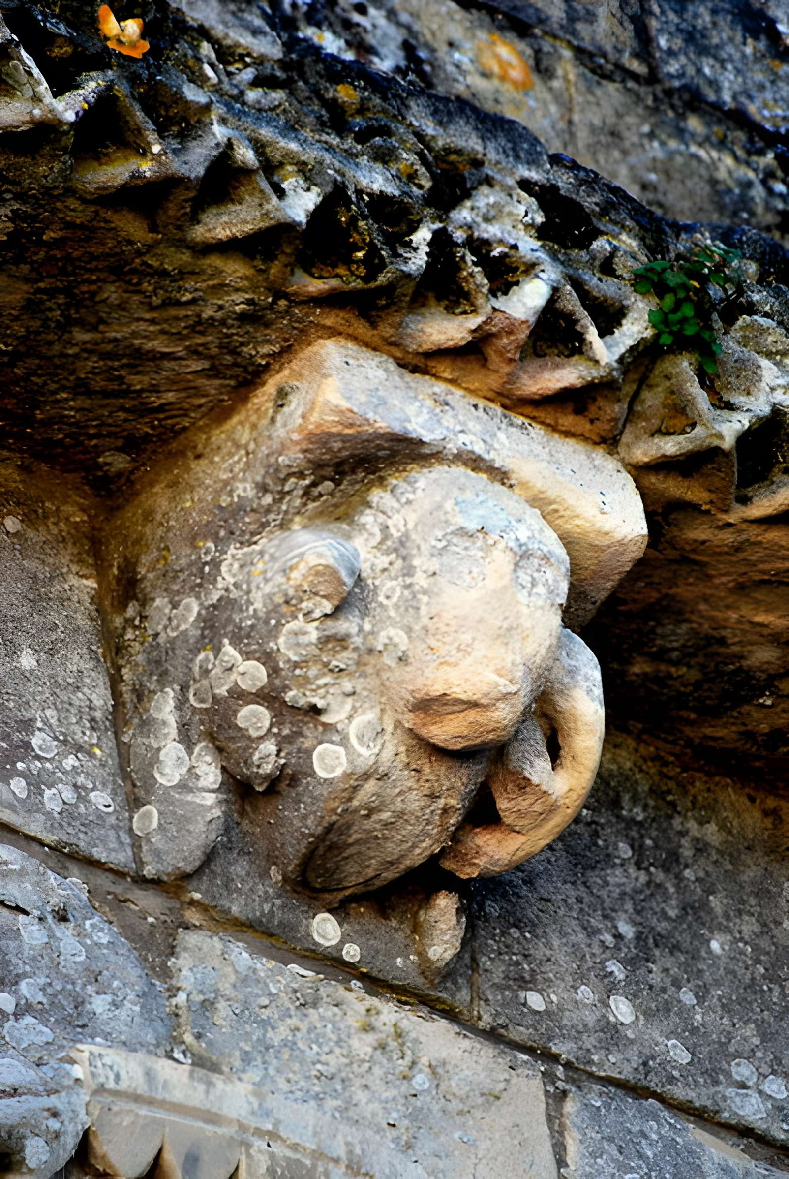 Église Saint-Pierre de Champagnolles