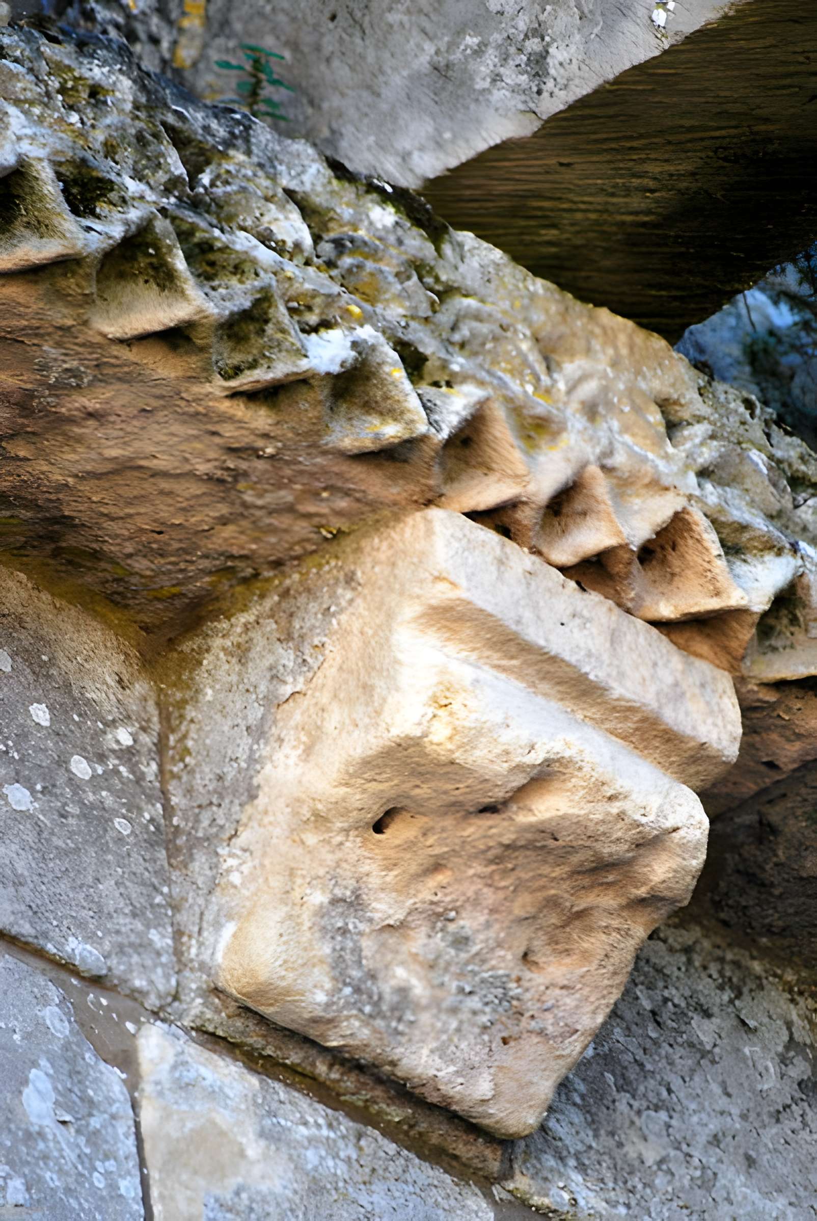 Église Saint-Pierre de Champagnolles