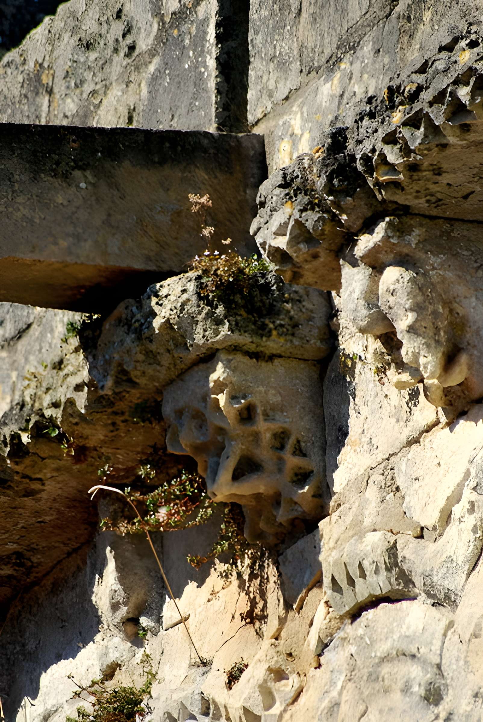 Église Saint-Pierre de Champagnolles
