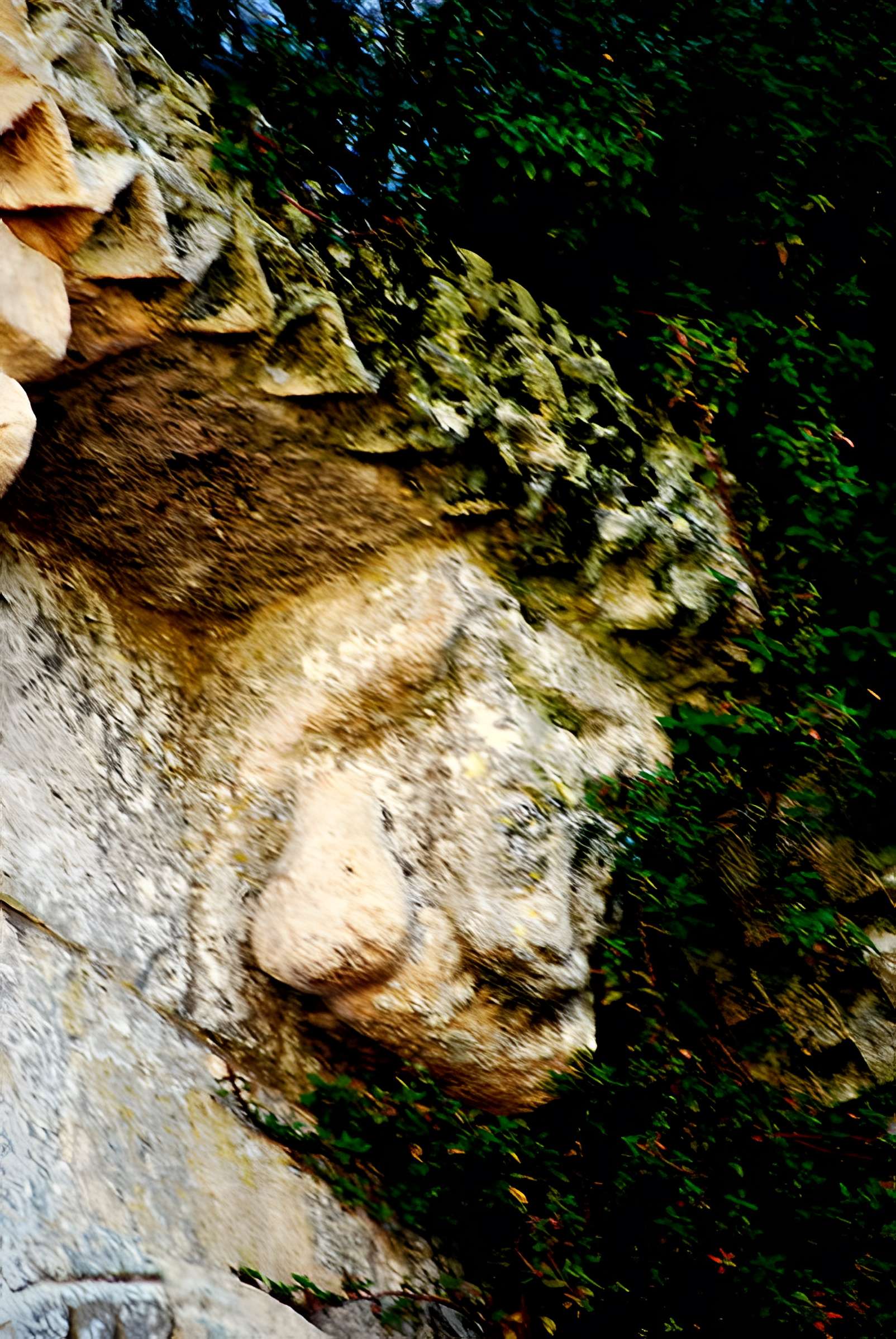 Église Saint-Pierre de Champagnolles