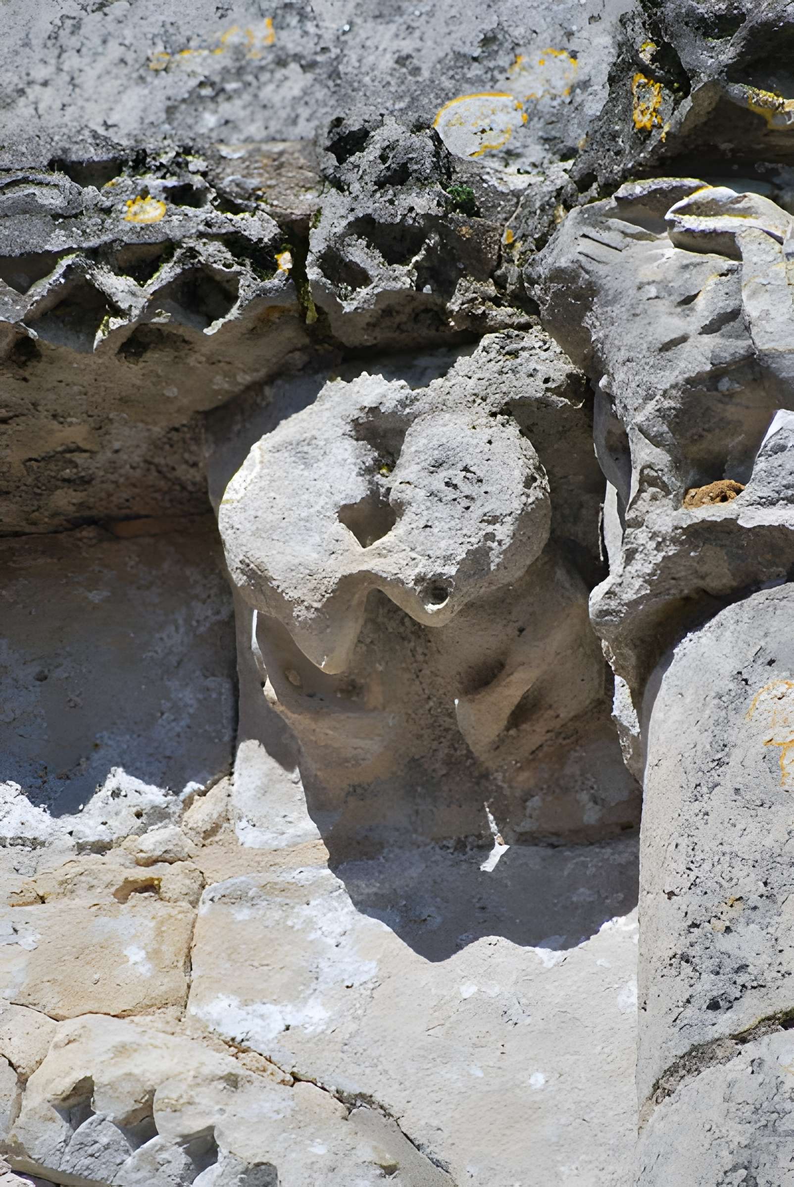 Église Saint-Pierre de Champagnolles