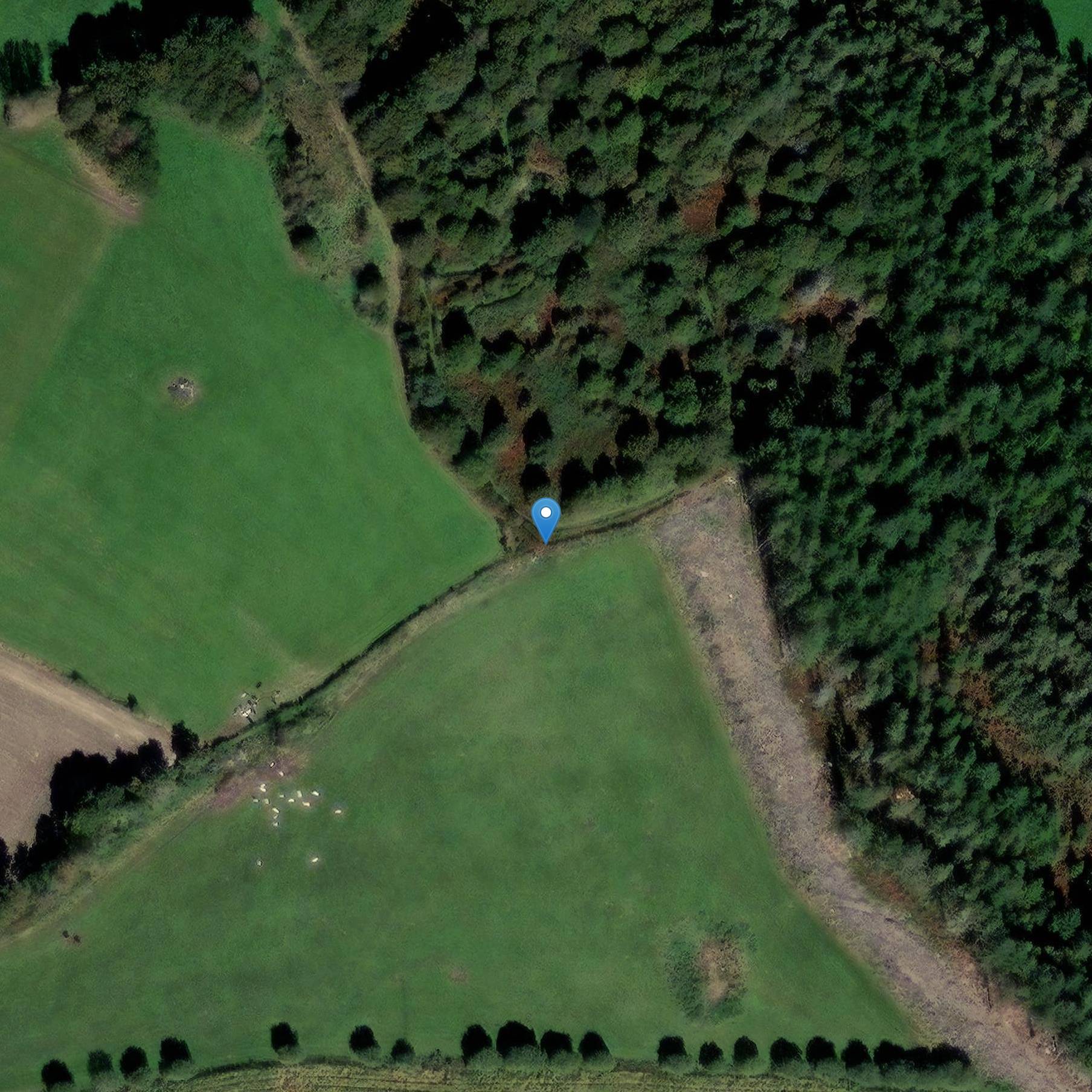 Photo de Menhir du Petit Moustoir