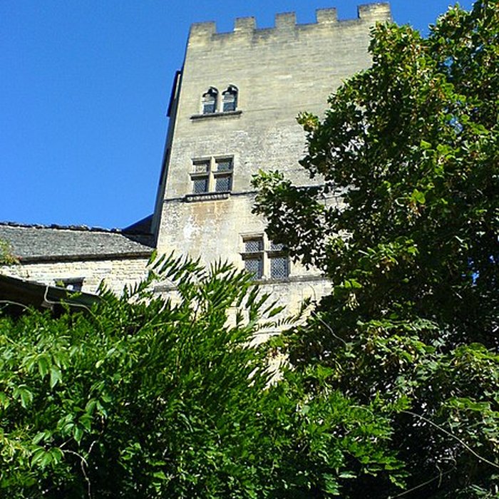 Photo de Château de Beynac