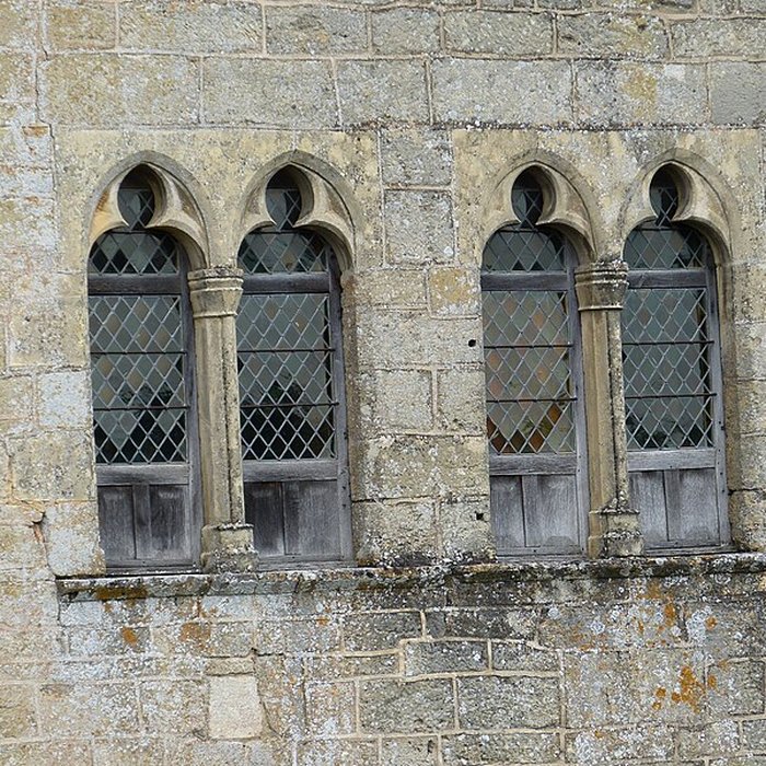Photo de Château de Beynac