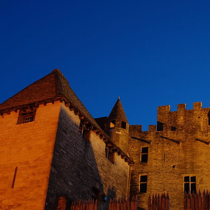 Photo de Château de Beynac