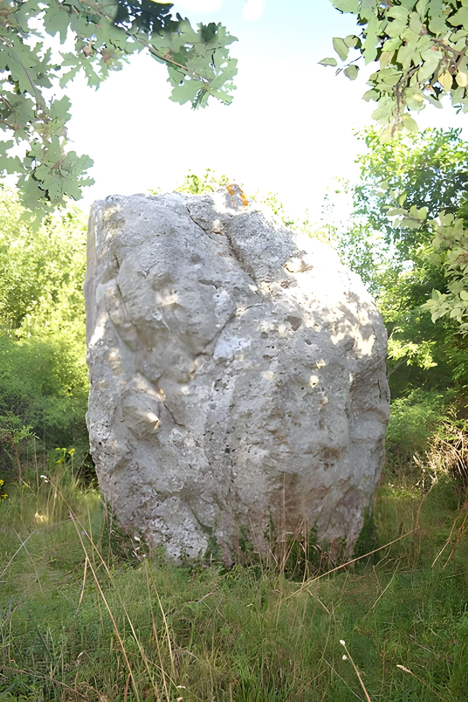 Menhir de Coporh