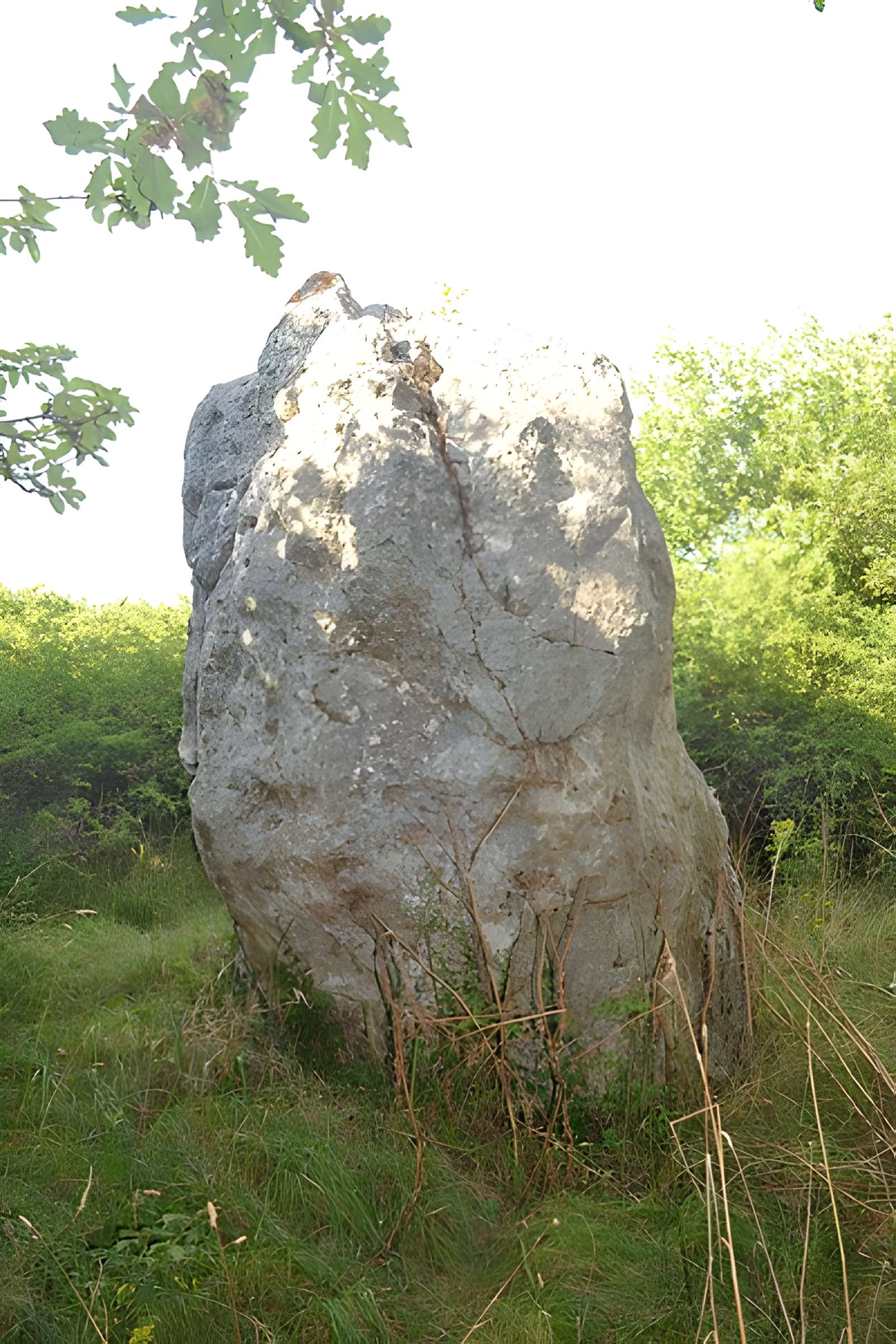 Menhir de Coporh