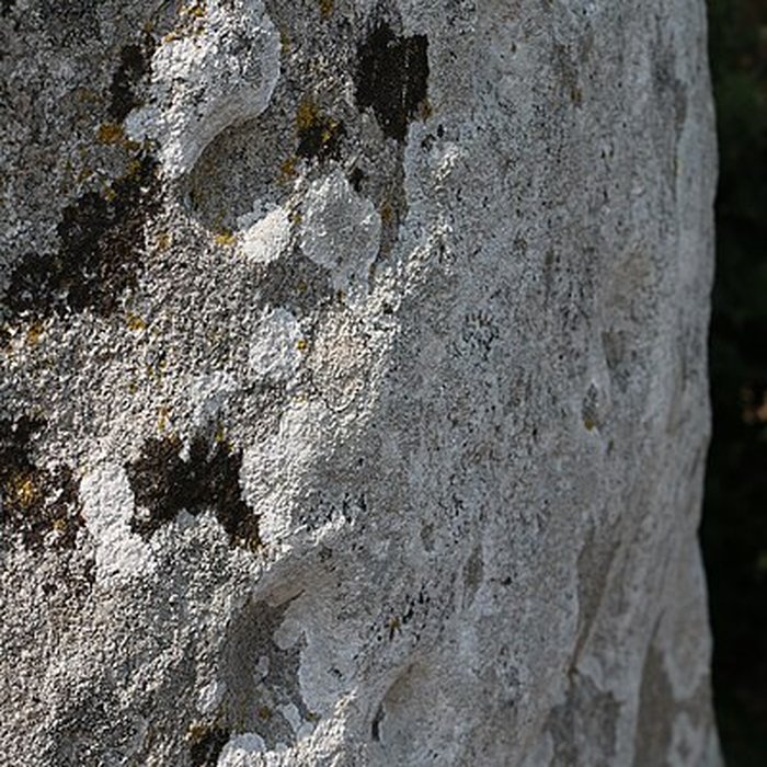 Photo de Menhir de Kermaillard