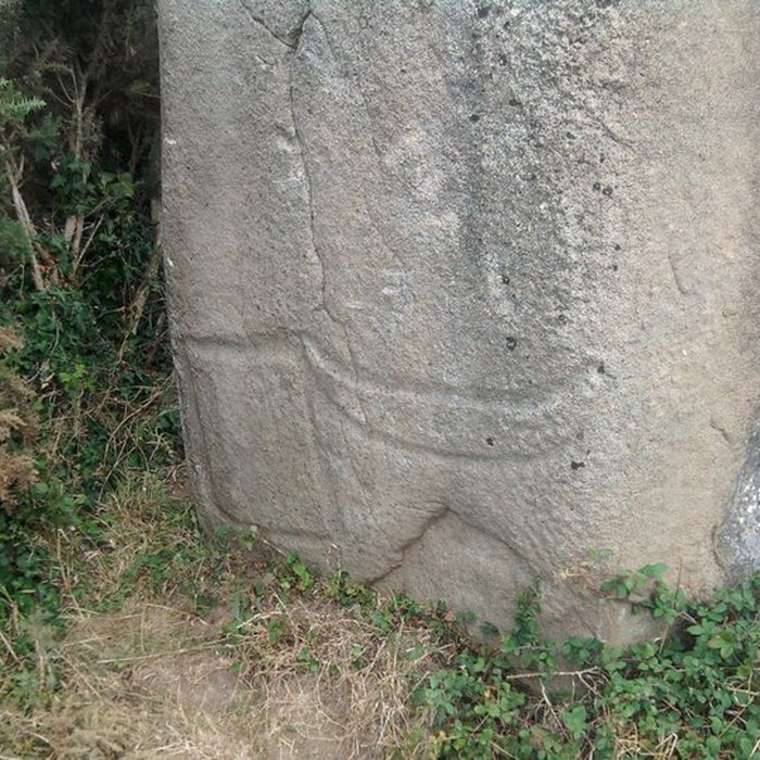 Photo de Menhir de Kermaillard