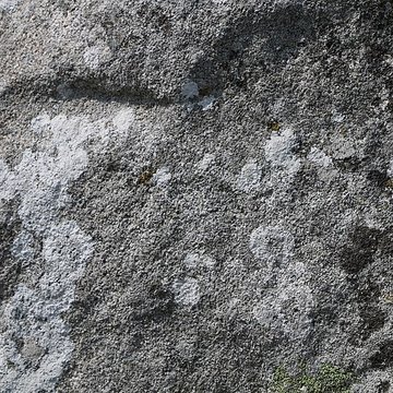 Menhir de Kermaillard