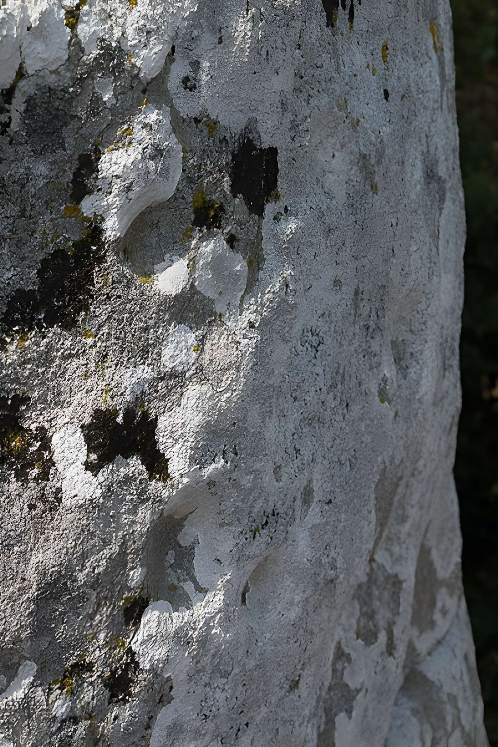 Menhir de Kermaillard