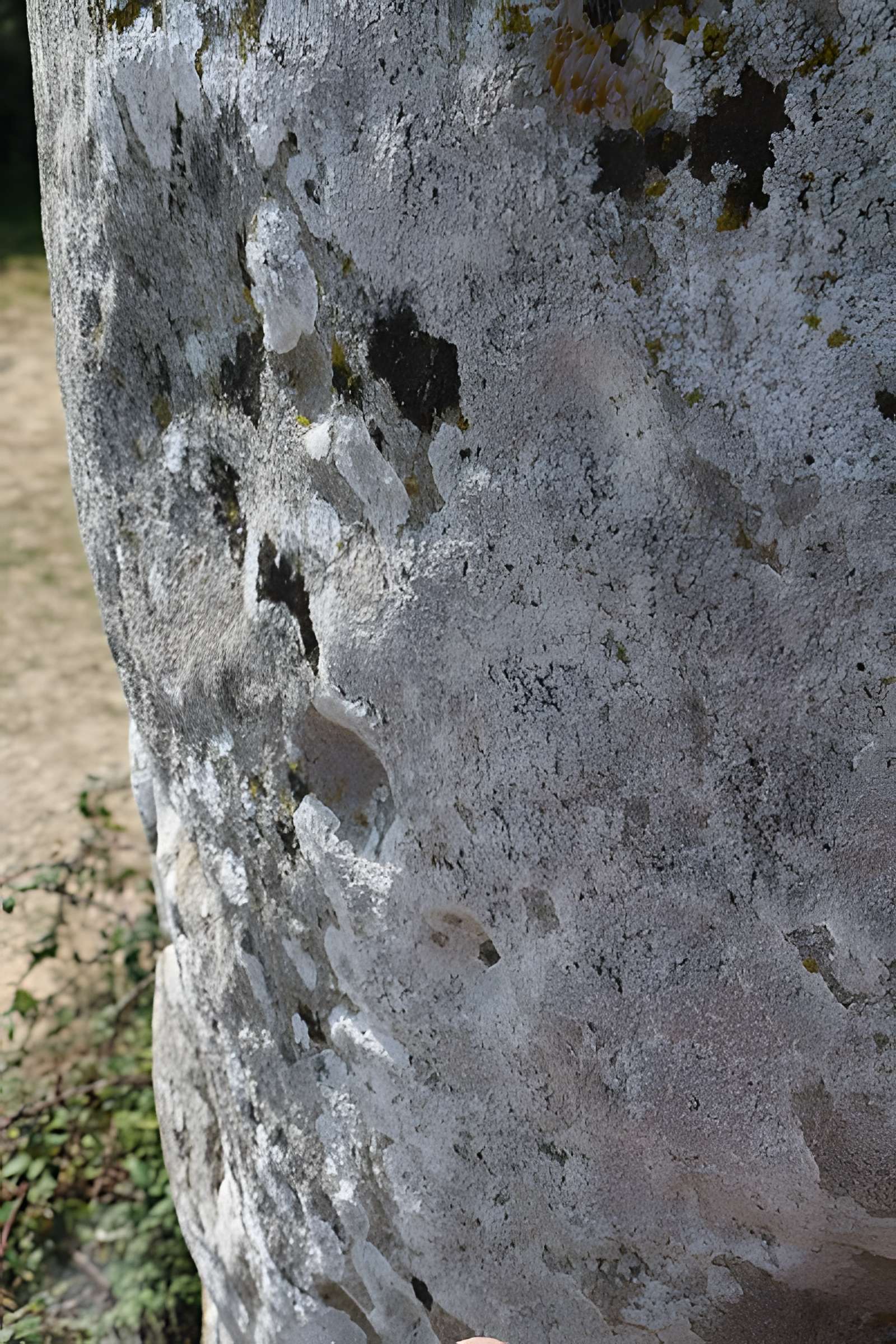 Menhir de Kermaillard