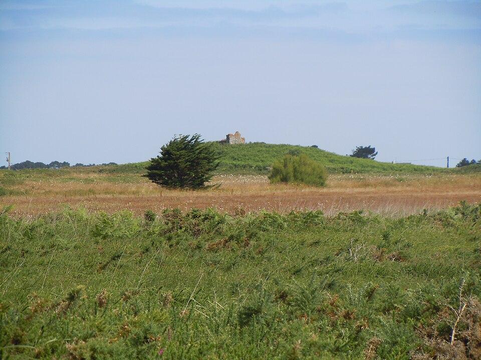 Champ de tumuli, dit Tumuli de la Lande du Semis