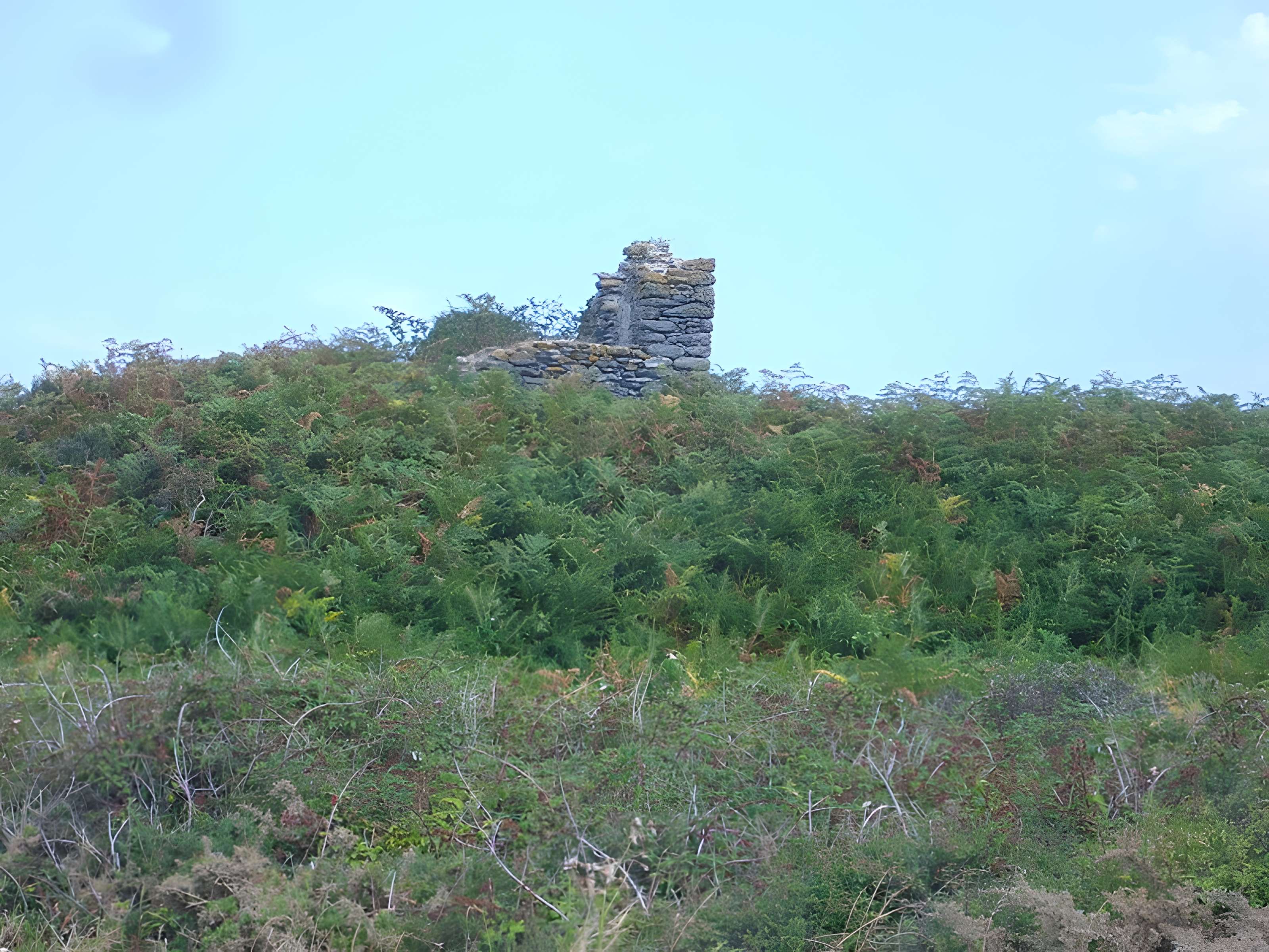 Champ de tumuli, dit Tumuli de la Lande du Semis