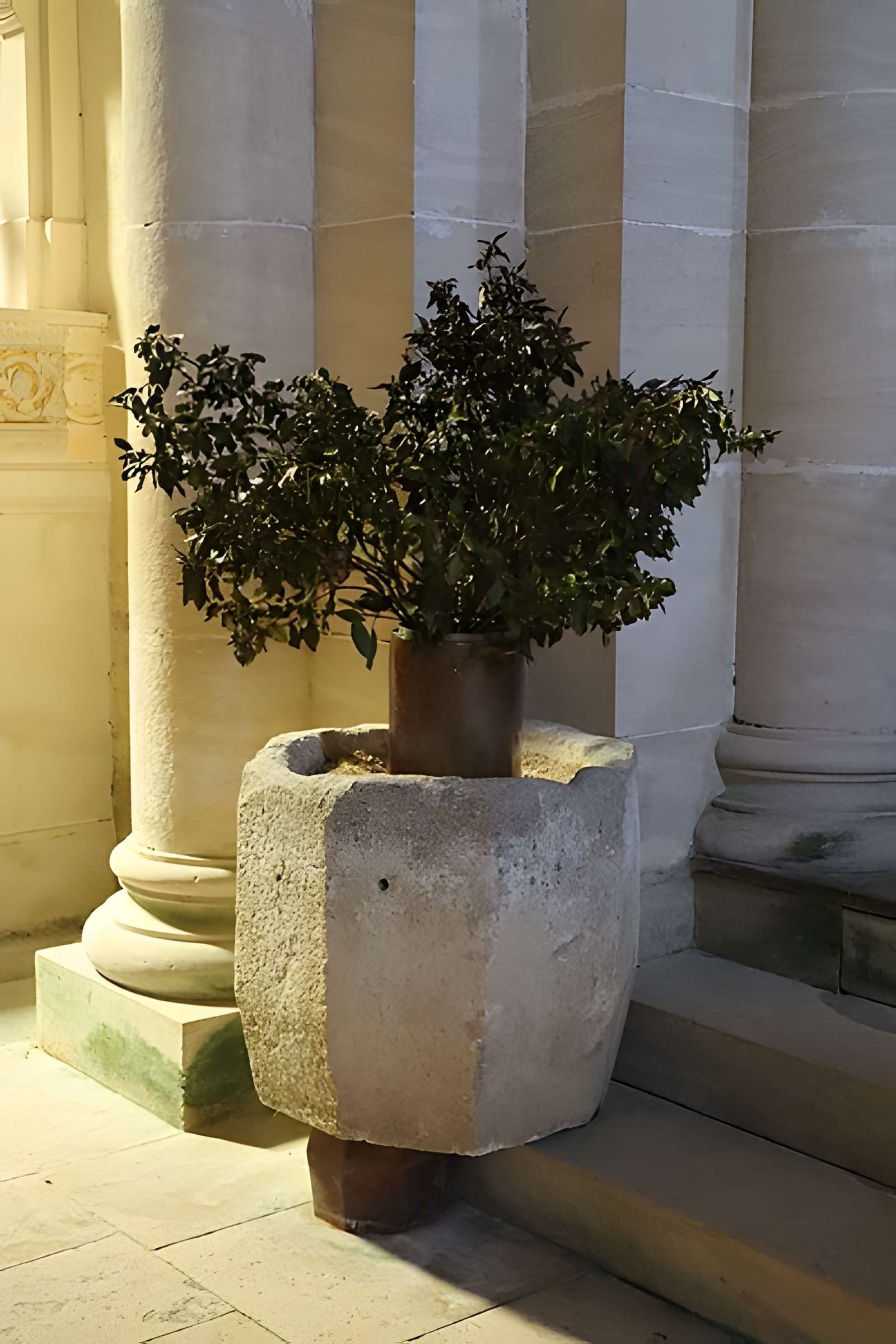 Église Saint-Pierre de Chissey-lès-Mâcon