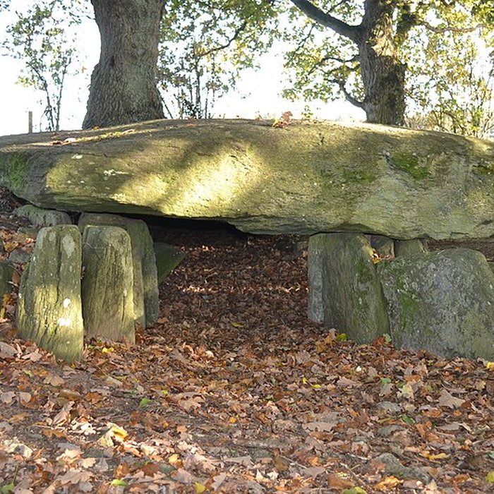 Photo de Tumulus avec dolmen
