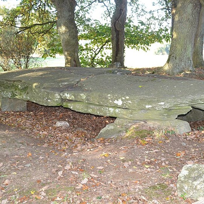 Photo de Tumulus avec dolmen