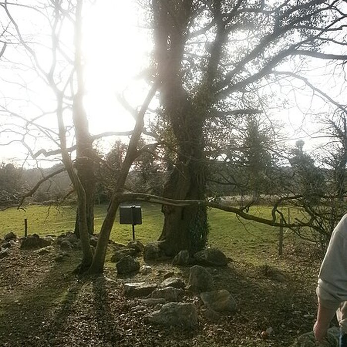 Photo de Tumulus avec dolmen