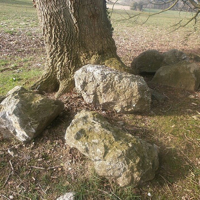 Photo de Tumulus avec dolmen
